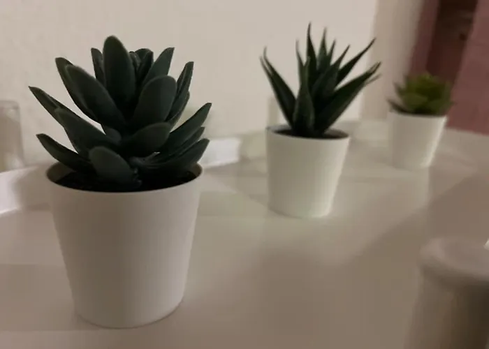 Saniert Zentrale 2zi Messe 公寓 *